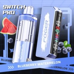 Blueberry Watermelon Foger Switch Pro Kit 30K Puffs